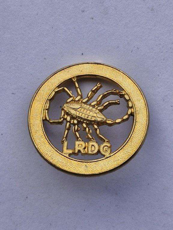 British and Rhodesian Special Forces Long Range Desert Group badge. Copy