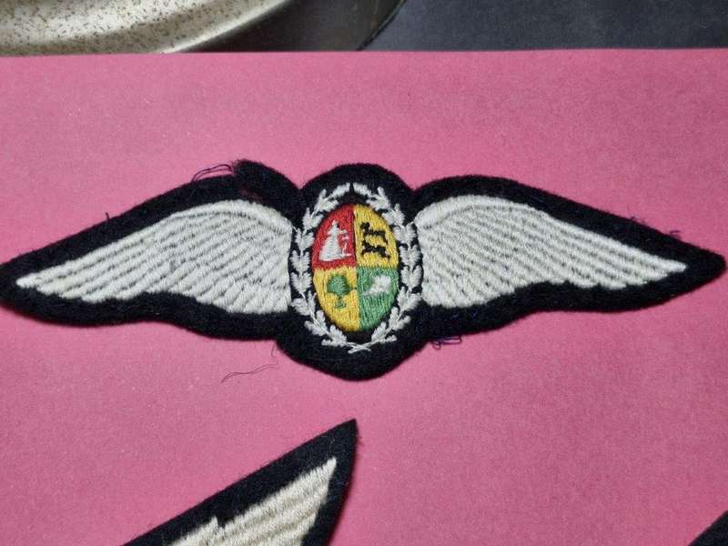 South African Air Force Pilot wing