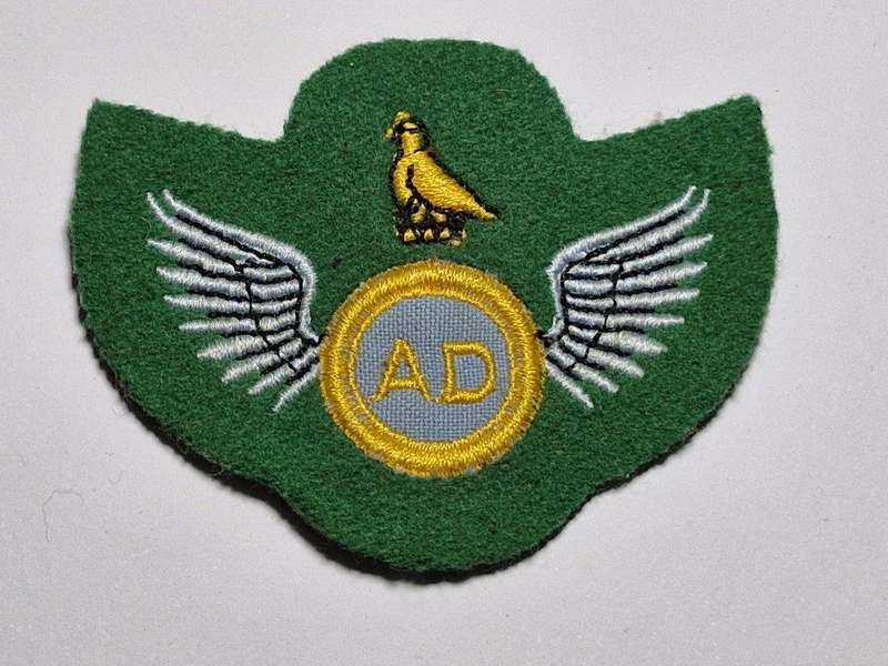 Zimbabwe Air dispatcher wing