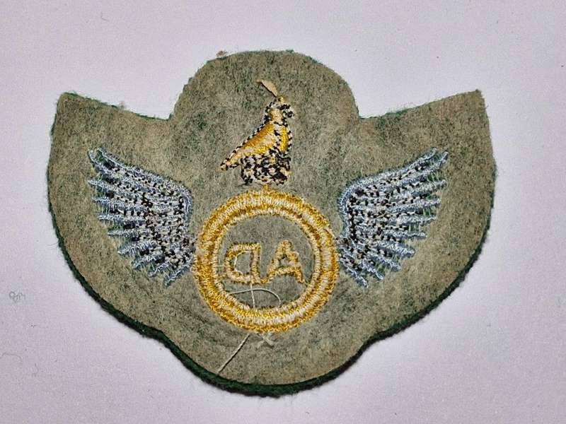 Zimbabwe Air dispatcher wing