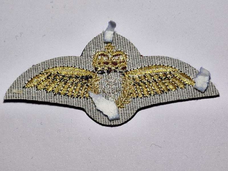 Fleet Air Arm Pilot Wing