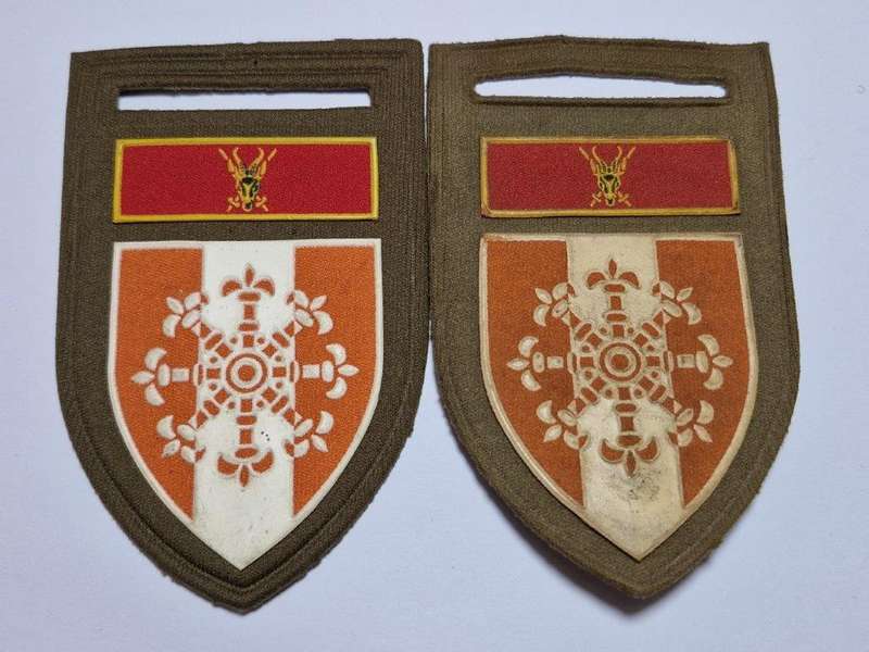 SADF Personnel Service School tupperware shoulder flash pair. Pins intact