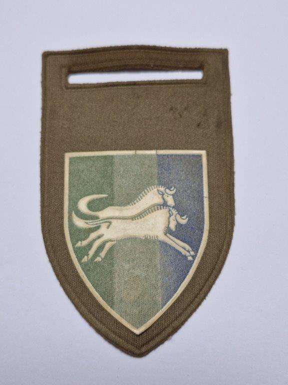 SADF Natal Command Signal Unit tupperware shoulder flash. Pin intact