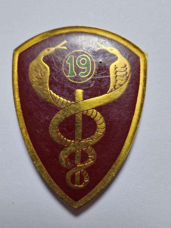 SADF 19 Military Hospital shoulder flash. Pins intact