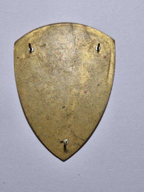 SADF 19 Military Hospital shoulder flash. Pins intact