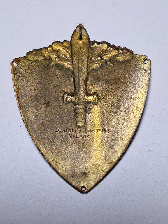 Italy WW2 Humeral Shield 29th Peloritana Division. Badge coated with a coating.