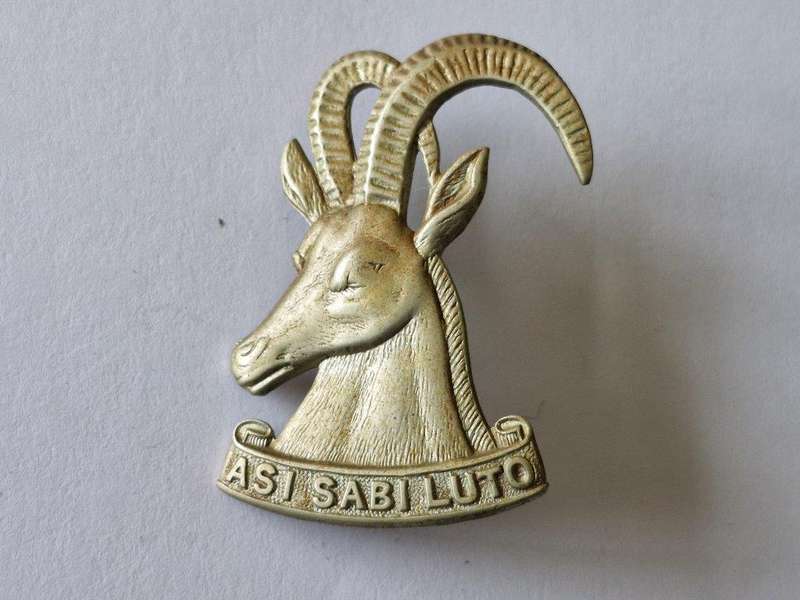 Southern Rhodesian Armoured Car Regiment Cap Badge. Made by Firmin