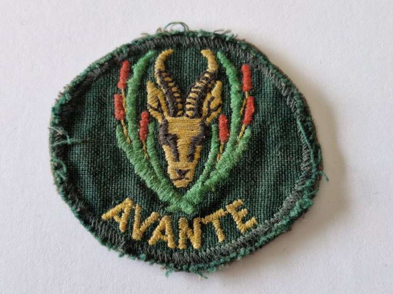 5th South African Infantry Cloth beret badge. 5 SAI