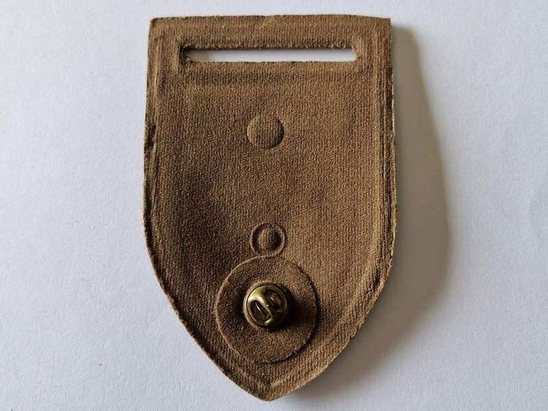 Virginia Commando tupperware shoulder flash.