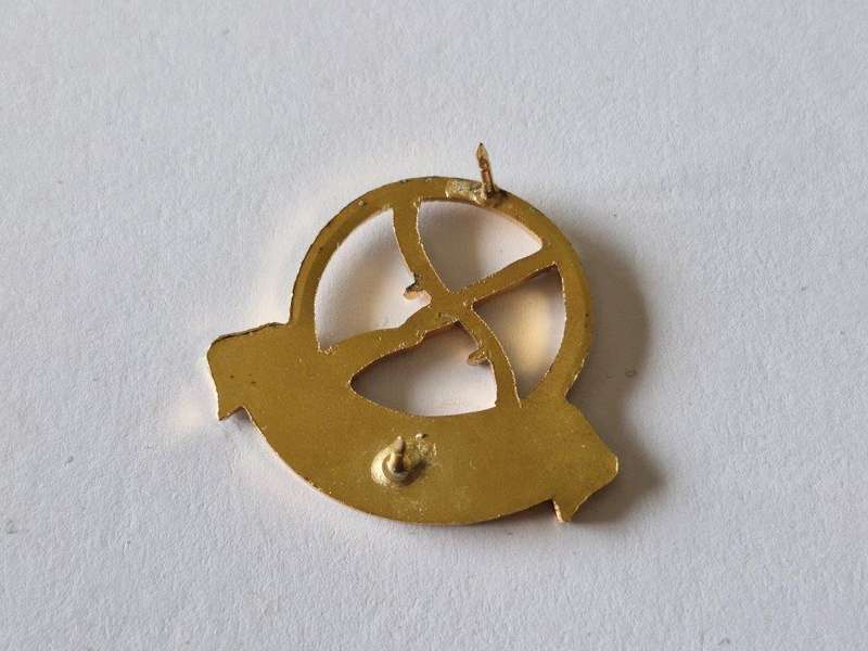 Skiereiland Command Beret Badge.