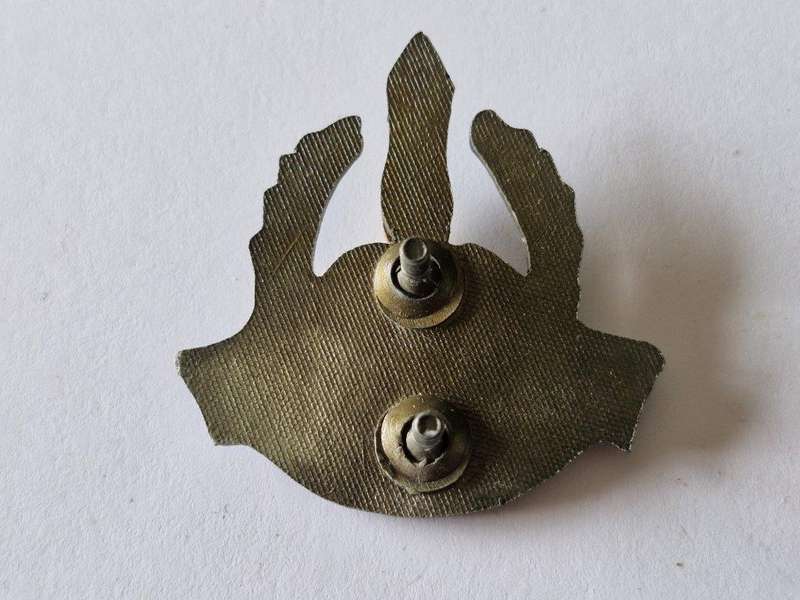 9th South African Infantry Division Beret Badge.