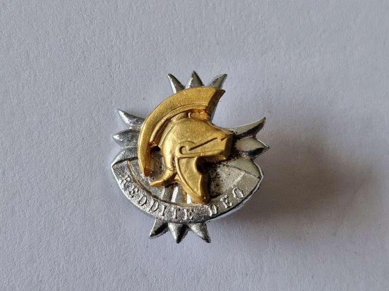 Edenvale Commando collar Badge.