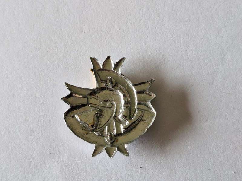 Edenvale Commando collar Badge.