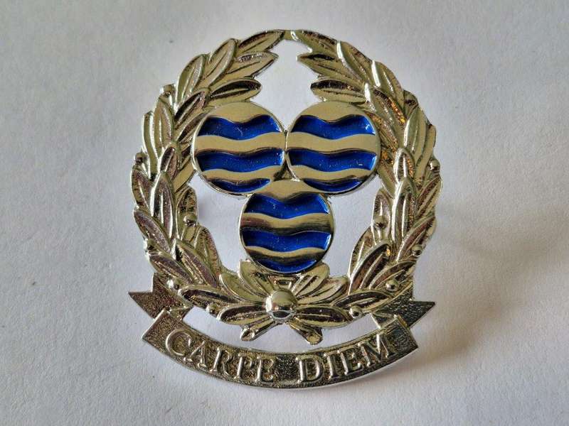 Springs Commando Beret badge.
