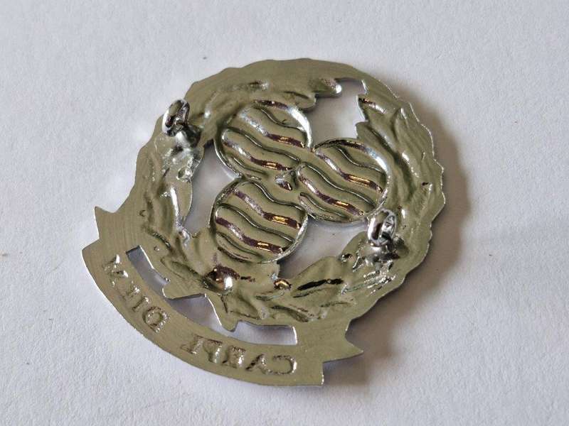 Springs Commando Beret badge.