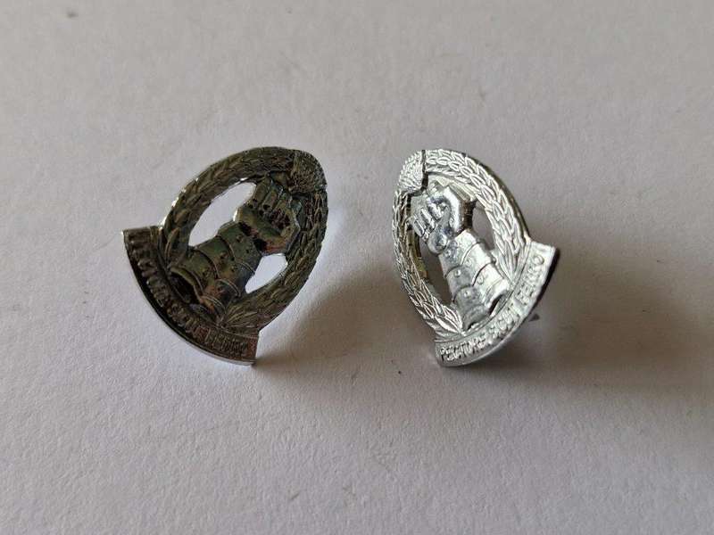 SADF Armoured Corps collar badges.