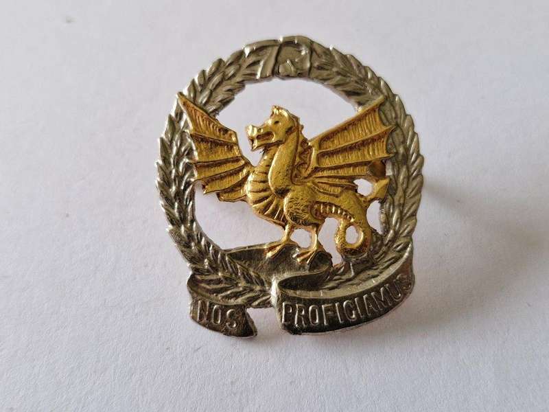 SADF 73rd Motorised Brigade beret badge