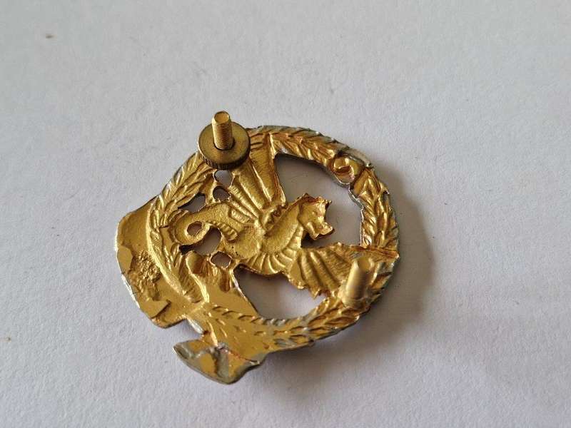 SADF 73rd Motorised Brigade beret badge