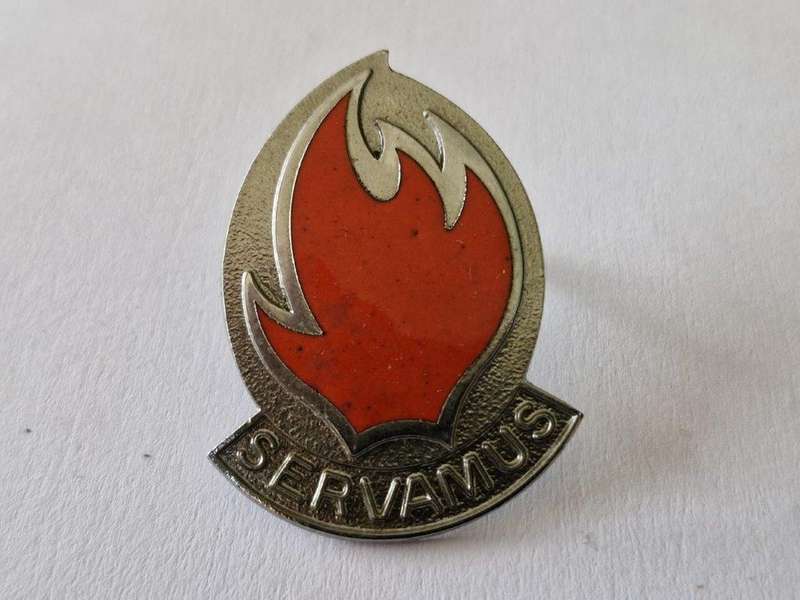113 Battalion Beret Badge.
