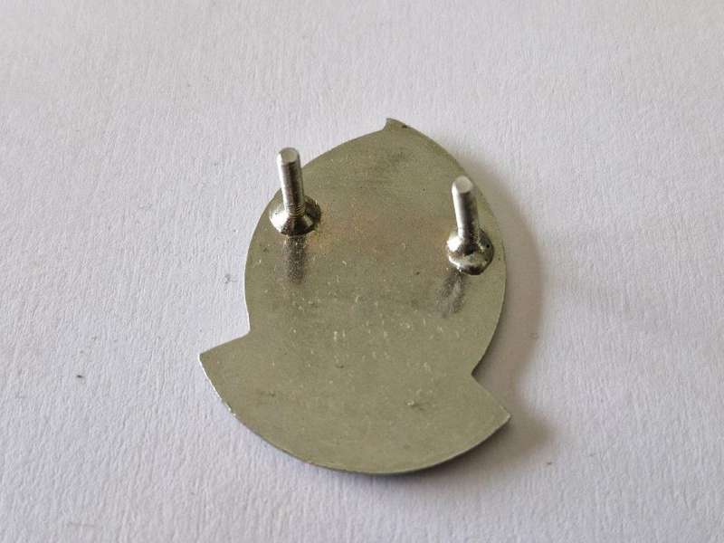 113 Battalion Beret Badge.