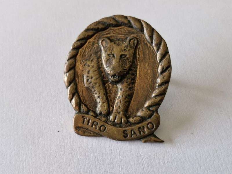 117 Battalion Beret Badge.