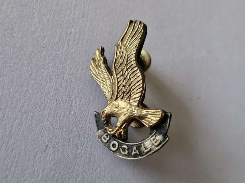 118 Battalion Beret Badge.