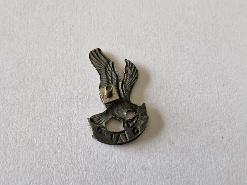 118 Battalion Beret Badge.