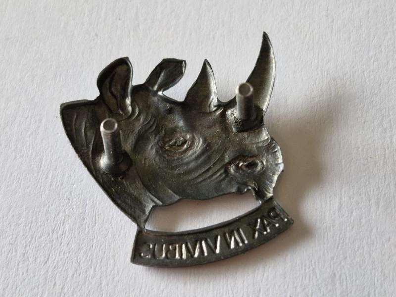 SWA 101 Battalion Cap Badge