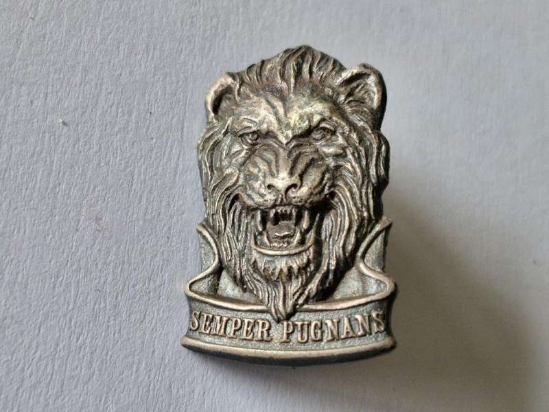 SWA TERRITORIAL FORCE Cap Badge