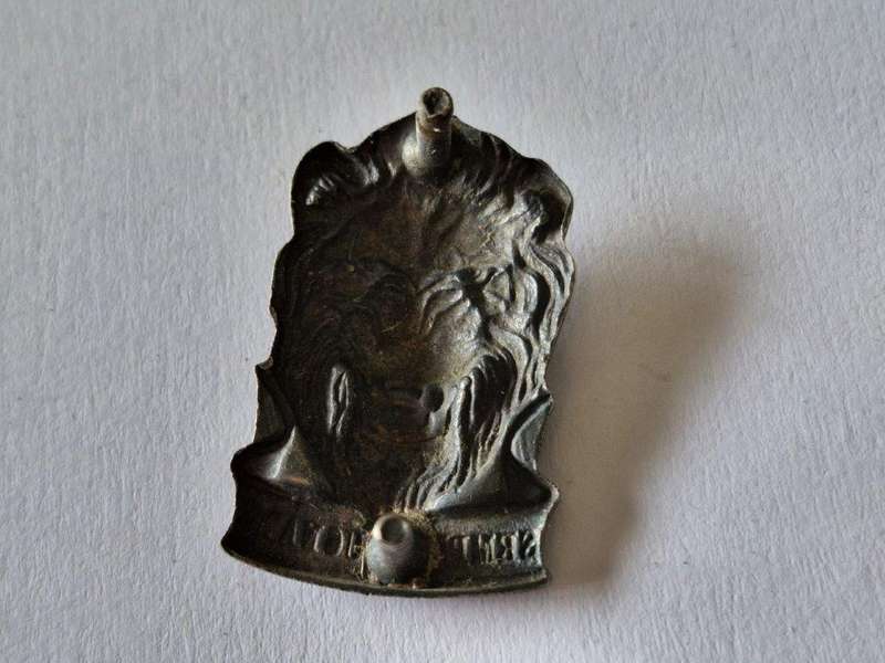 SWA TERRITORIAL FORCE Cap Badge
