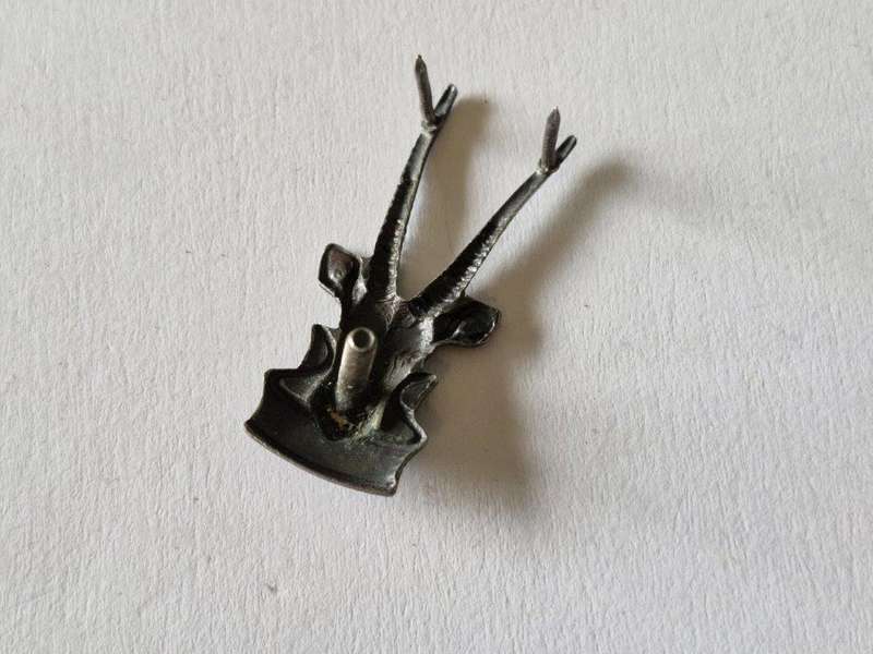 SWA HQ Cap Badge