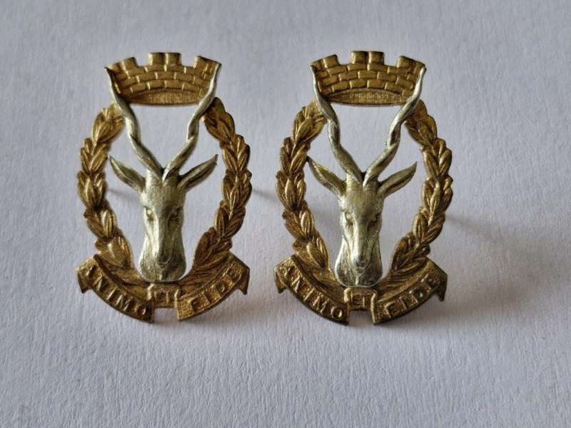 SWA Windhoek Collar Badges