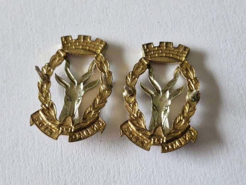 SWA Windhoek Collar Badges