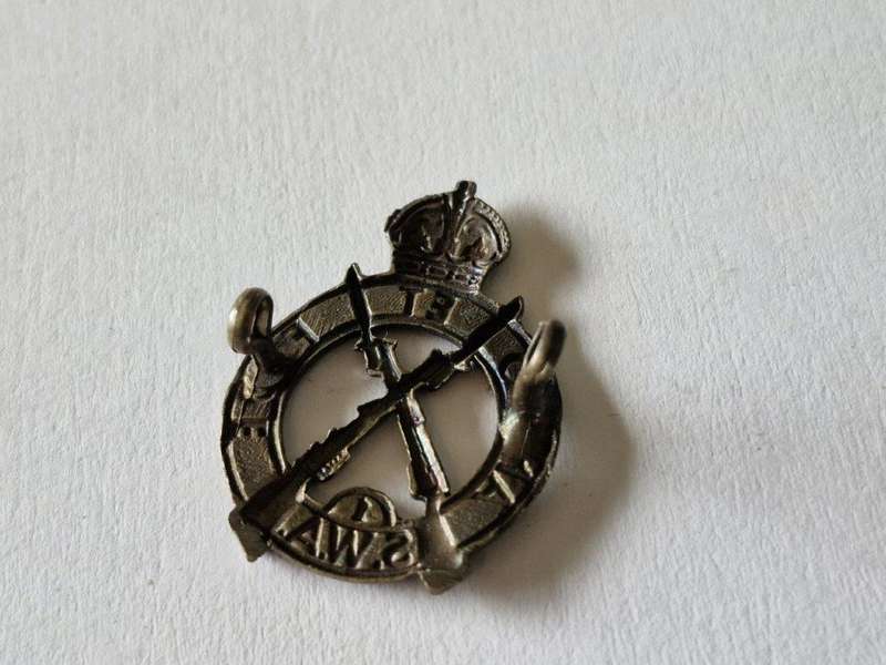 SWA 1st Infantry Beret badge. Lugs intact