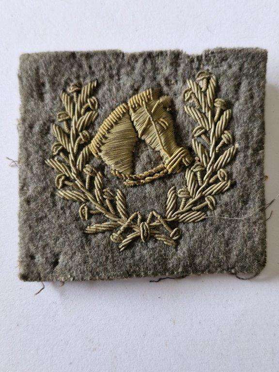 Unknown badge, possibly Italian WWII?