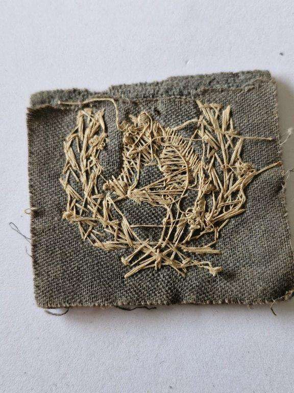 Unknown badge, possibly Italian WWII?
