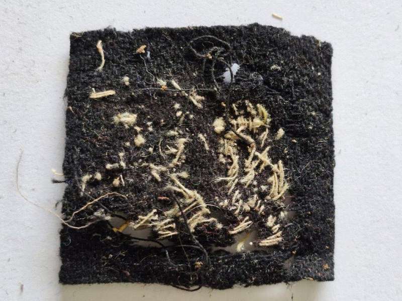 Unknown Italian WWII badge. Damaged and brittle 4