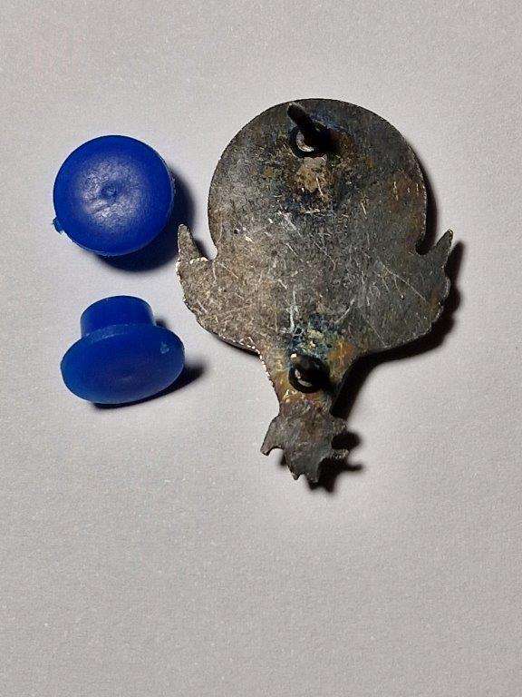 Unknown South West Africa Parachute badge. 32 x 24 mm