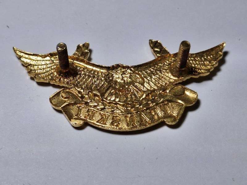 Transkei Air Force Cap Badge