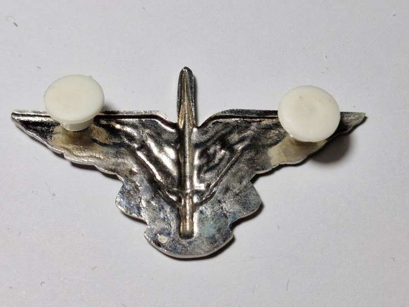 Homelands-Ciskei-Border War- Sword of The Nation (Special Forces) Beret Badge