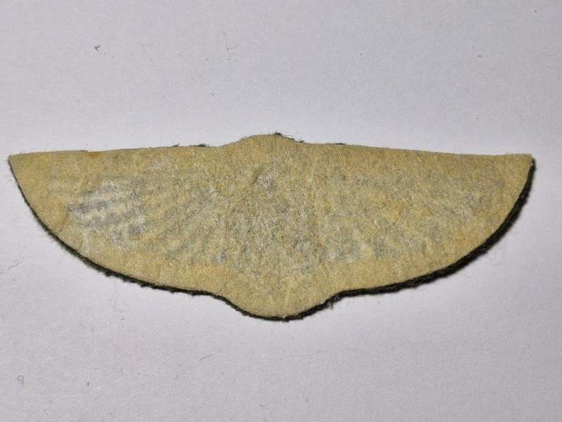 Ciskei Pilot Wing