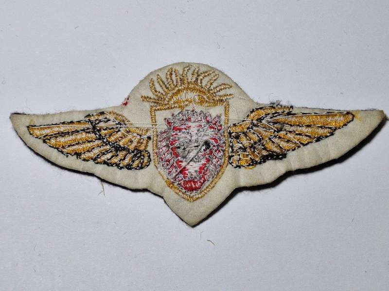 Malawi Air Force Pilot Wing