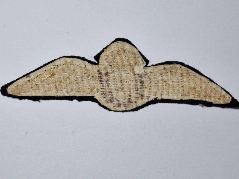 WWII RAF Pilot Wing