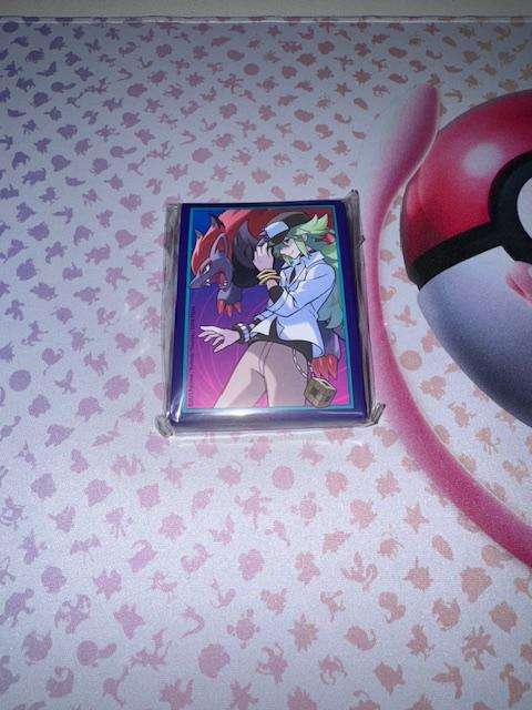 Pokemon Sleeves - Journey Together