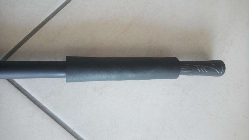 Walking stick with concealed spear