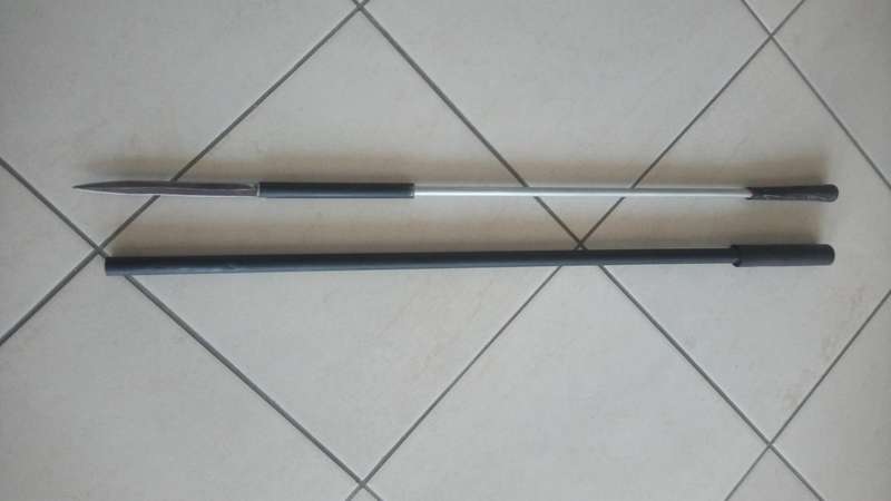 Walking stick with concealed spear