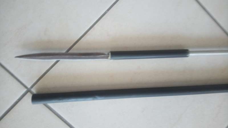 Walking stick with concealed spear