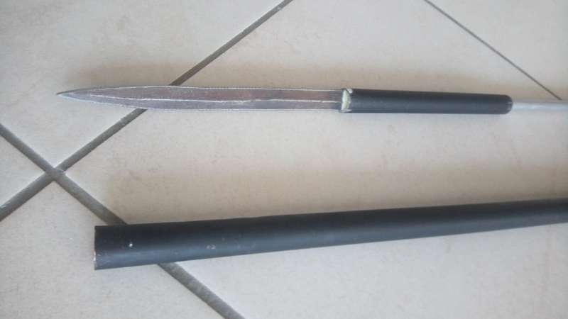 Walking stick with concealed spear
