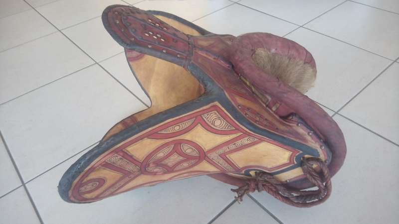 Camel saddle