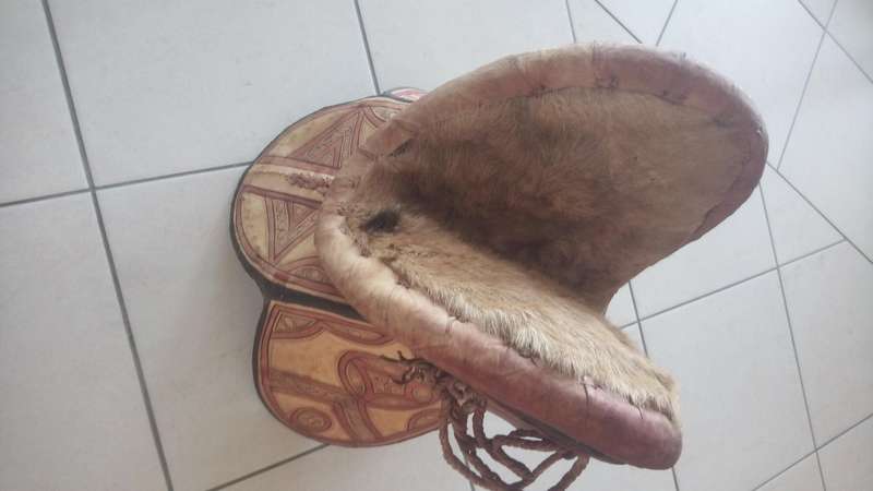 Camel saddle